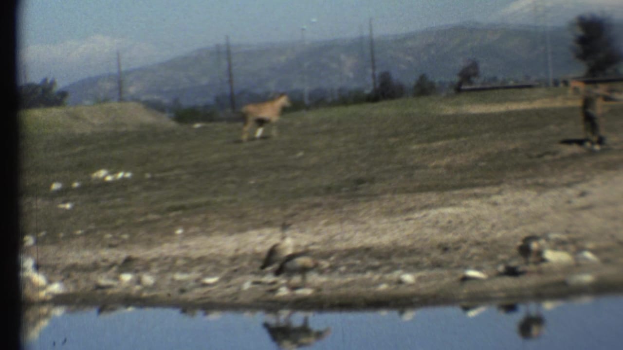 Distant lion on open ground near a water edge with hills in the background.