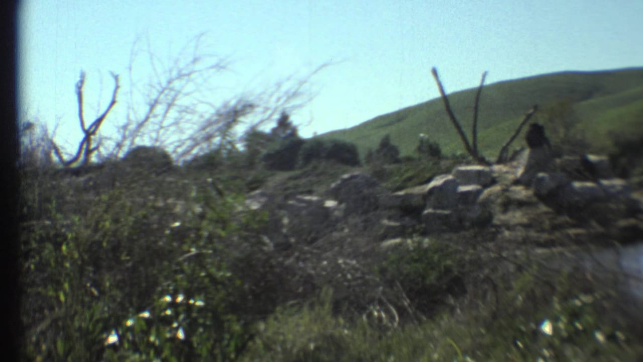 Scrubby hillside with bare branches, rocks, and green slope in soft 8mm color.