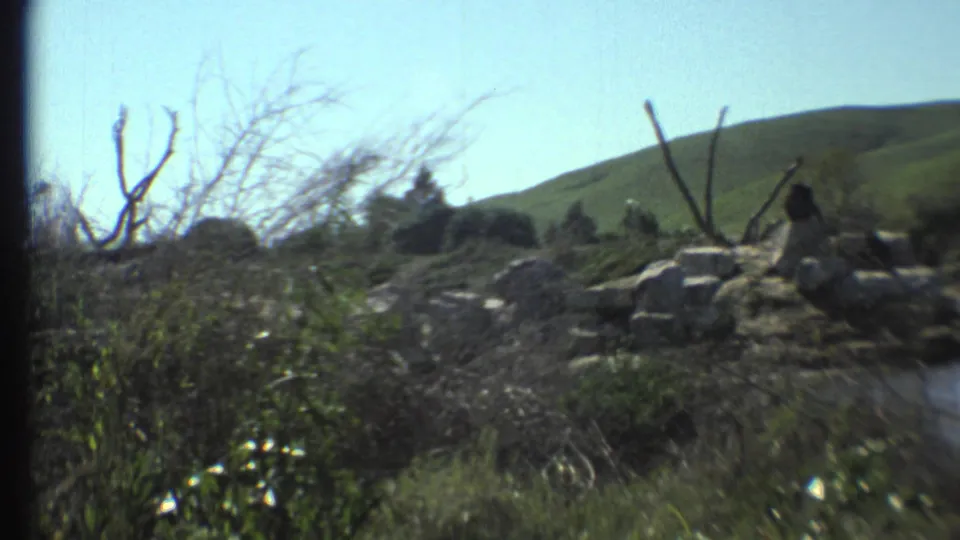 1972 8mm travel footage shows scrub vegetation, bare tree branches, scattered rocks, and a green hillside in Arizona.