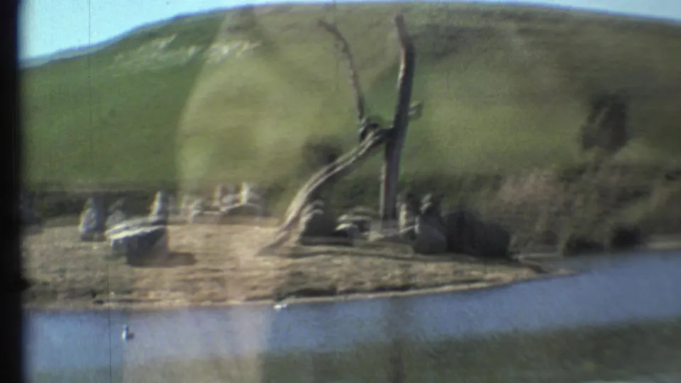 1972 Grand Canyon-area home-movie frame shows water, a rocky shore, bare limbs, and a green hillside beyond.