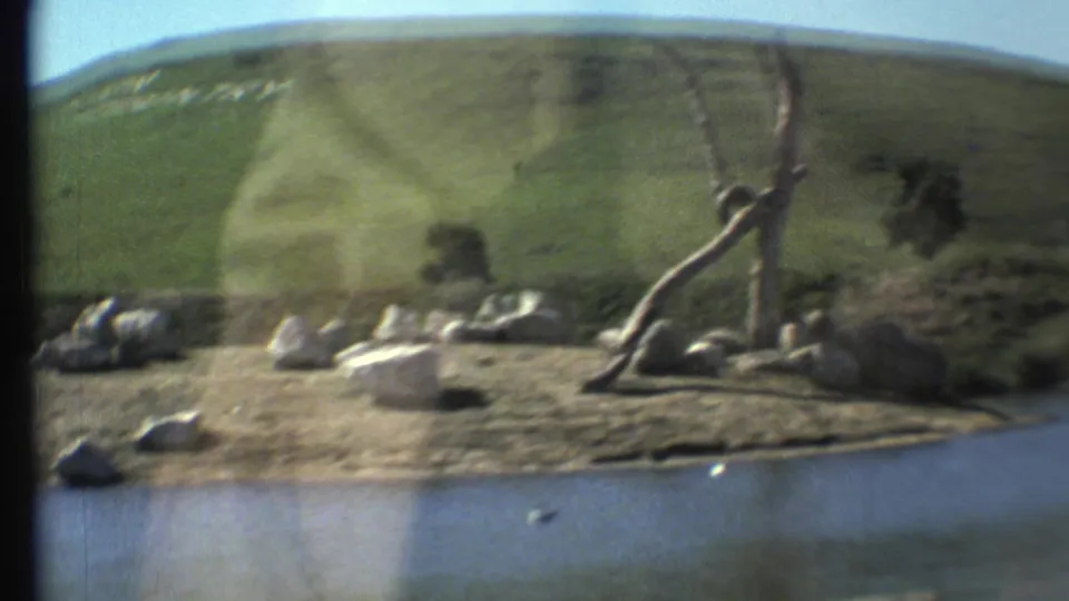 1972 8mm Arizona travel frame shows a rocky shoreline, bare tree trunk, water, and a grassy hillside through lens flare.