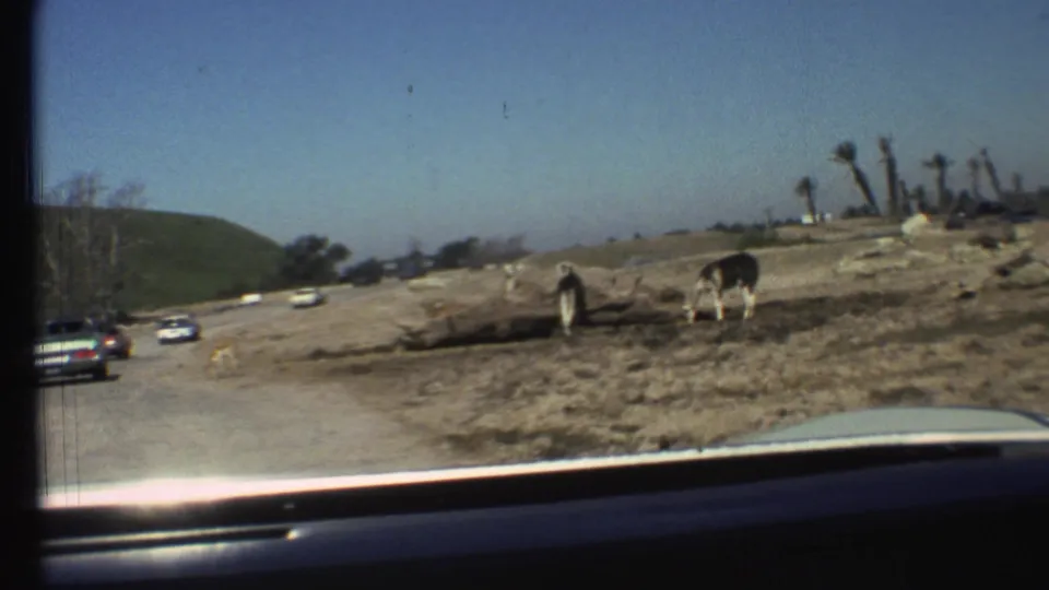 1972 Arizona travel footage shows cars on a road and horses grazing beside dry ground near the Grand Canyon.