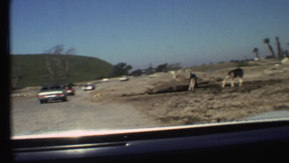 Grand Canyon, Arizona home-movie frame from 1972 with a passing car, horses, dry roadside, and windshield framing.