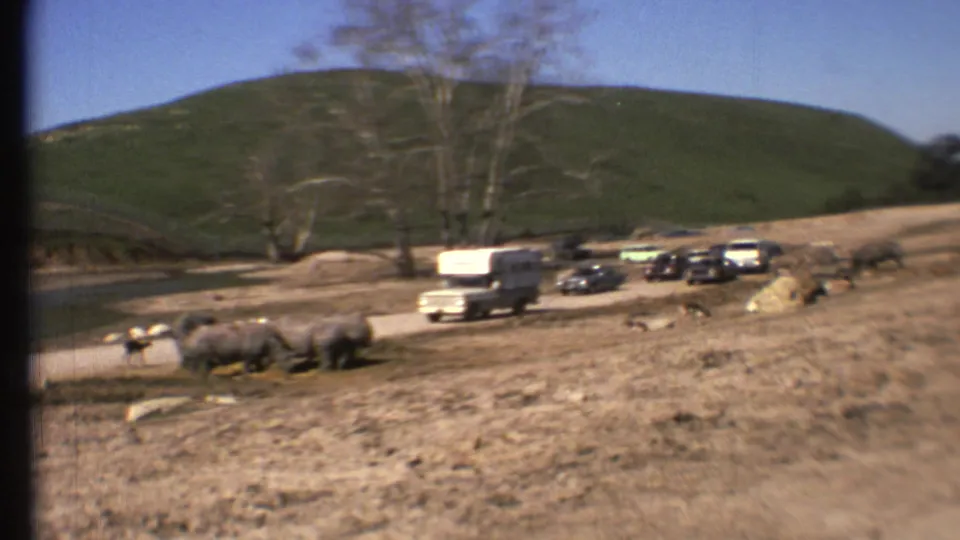 A wide 8mm frame shows rhinos and a deer beside a road with 1970s-style vehicles and a green hillside behind them.