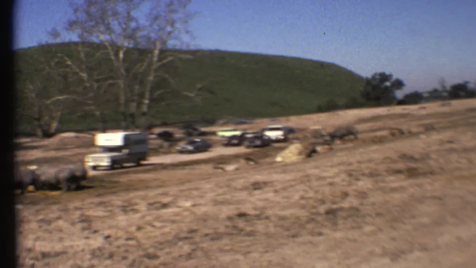 The final frame widens to show rhinos at the edge of the scene, parked or slow-moving vehicles, bare trees, and a green hillside.