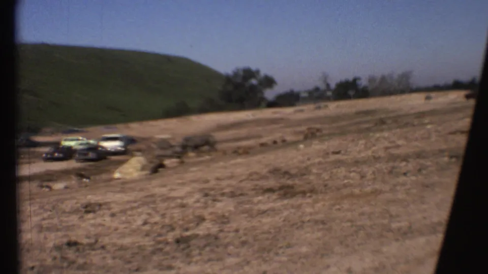 1972 Grand Canyon-area 8mm frame with a soft handheld view of cars and large animals spread across dry roadside grassland.
