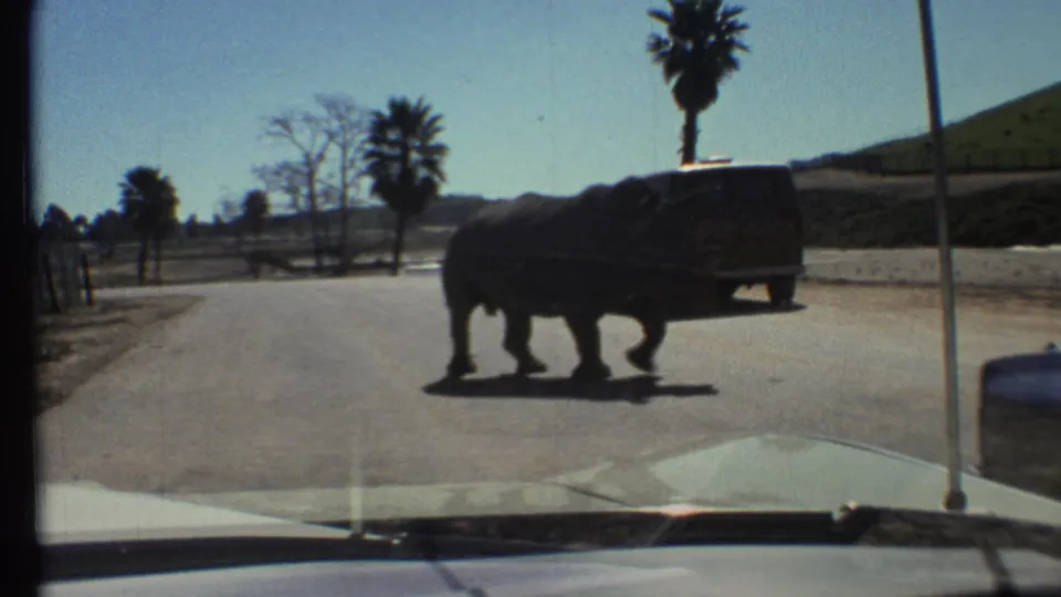1972 home-movie view from inside a car as a rhinoceros crosses a paved road near a dark van at a drive-through wildlife setting.