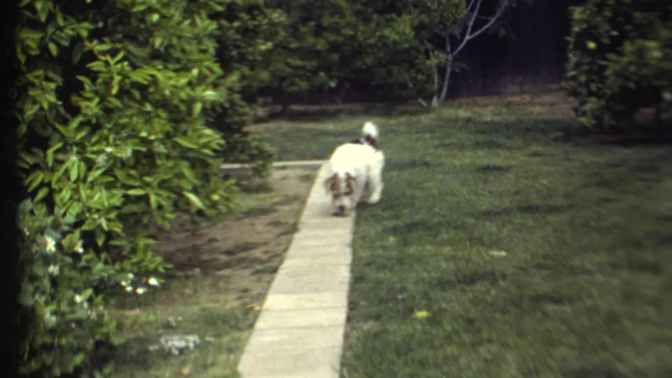 A small dog moves away along a narrow concrete sidewalk bordered by lawn, shrubs, soil, and white flowers.
