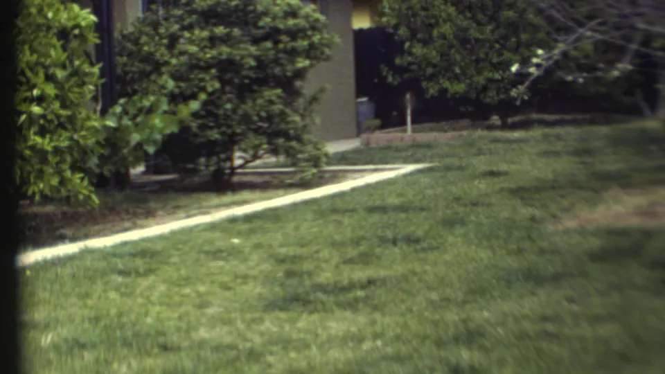 The camera holds on the grassy yard in Grand Canyon, Arizona, with the dogs briefly out of frame amid 1970s 8mm blur.