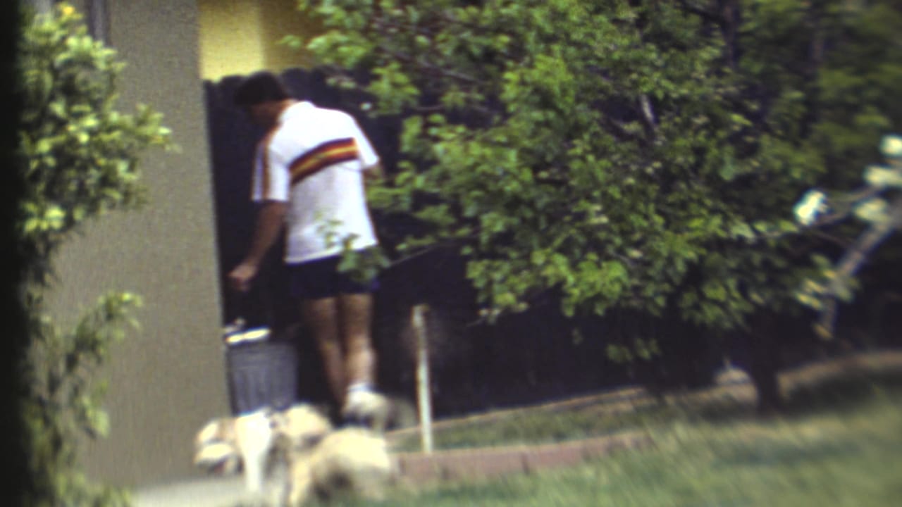 Man in a white striped polo stands by a doorway while two dogs move on the lawn.