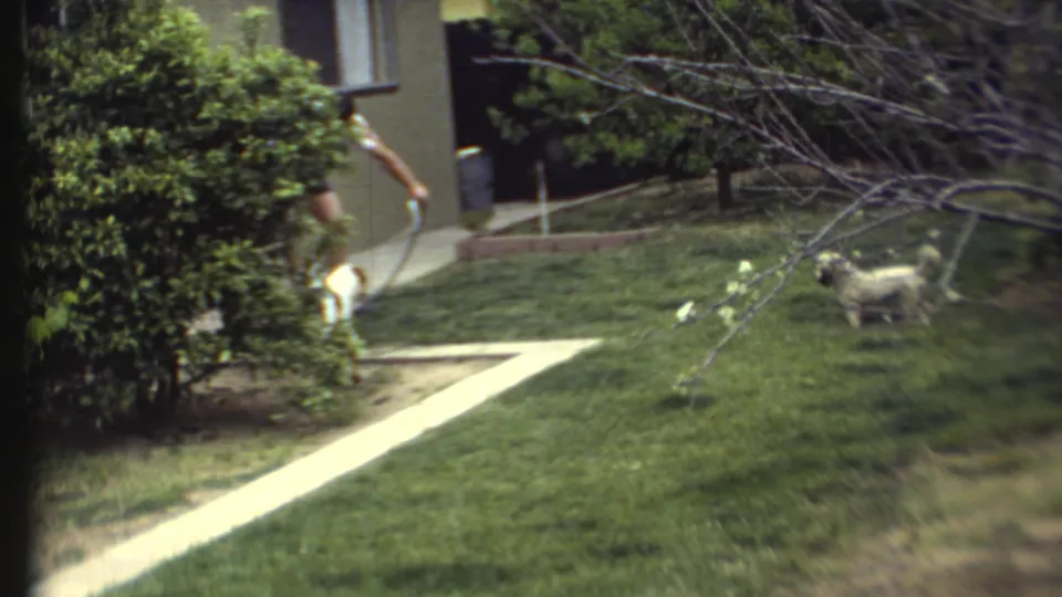 The man extends the garden hose near a white dog as another small dog remains on the grass in the 1972 home-movie yard.