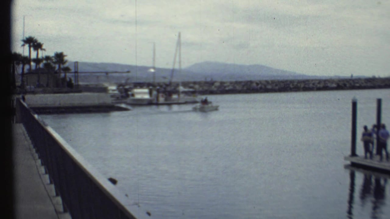 Marina water with a dock railing, palm trees, sailboats, and distant hills.