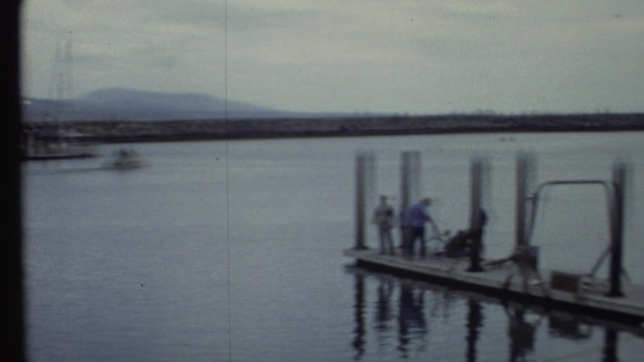 Floating dock with several people, vertical pilings, calm water, and distant hills.