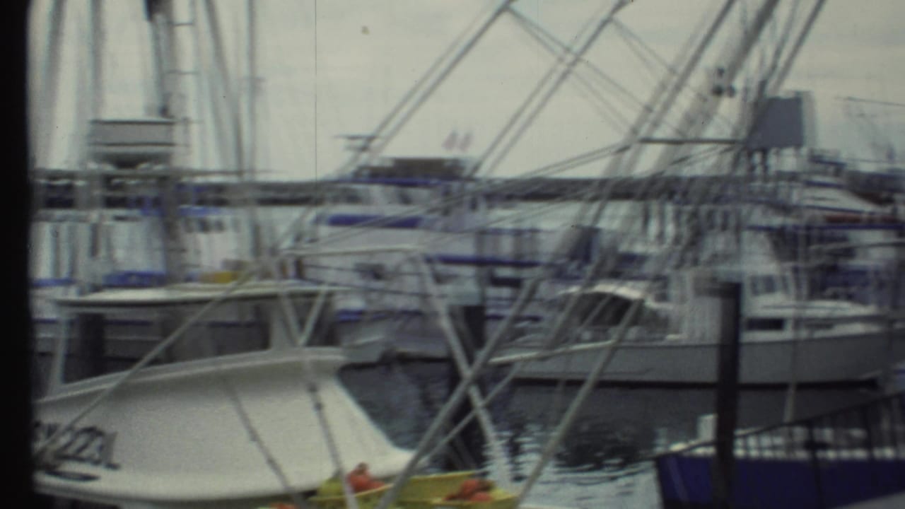 Crowded marina with docked boats and tall metal fishing frames beside calm water.