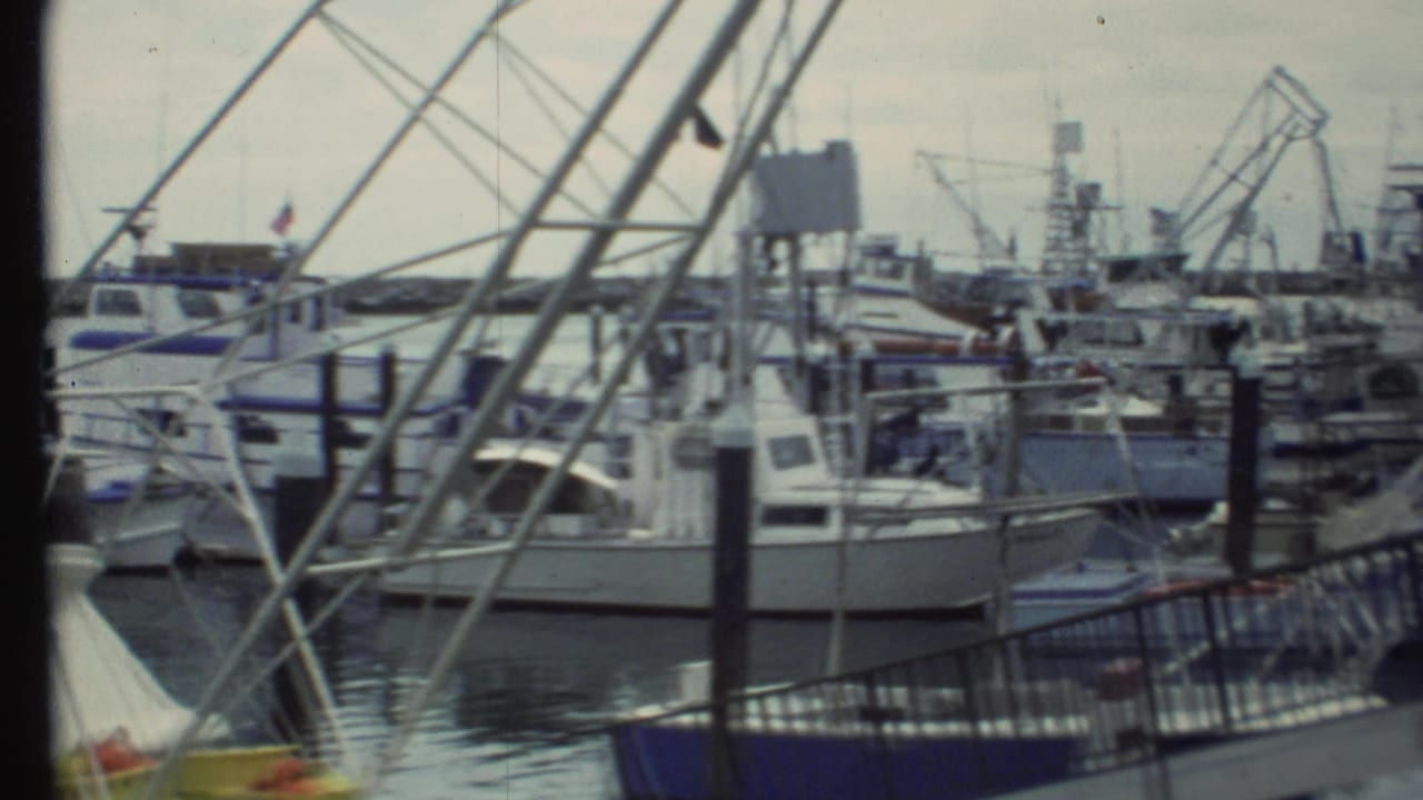 Fishing and recreational boats moored close together with cranes visible in the distance.