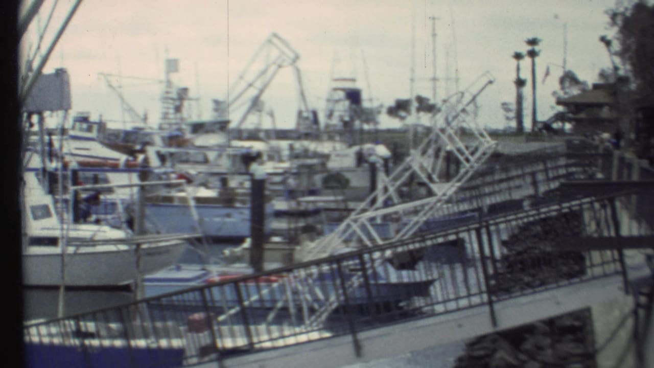 Marina view with docked boats, railing, palm trees, water, and distant hills.