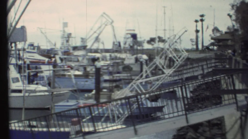 1972 8mm home-movie frame showing a marina with docked boats, foreground railing, palm trees, calm water, and distant hills.