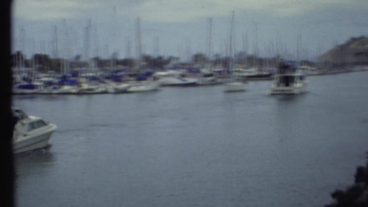 Marina water with rows of sailboats and a small white cabin boat near the left edge.
