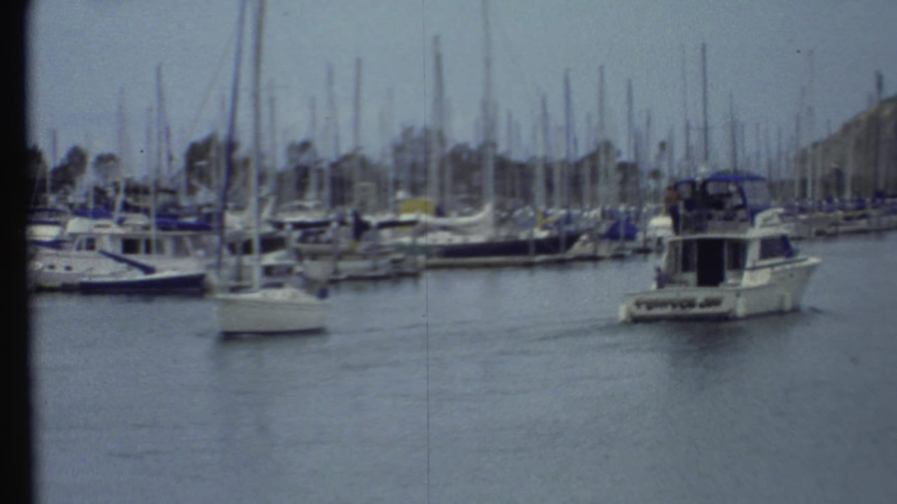 Harbor filled with sailboats as a white motorboat moves across calm water.