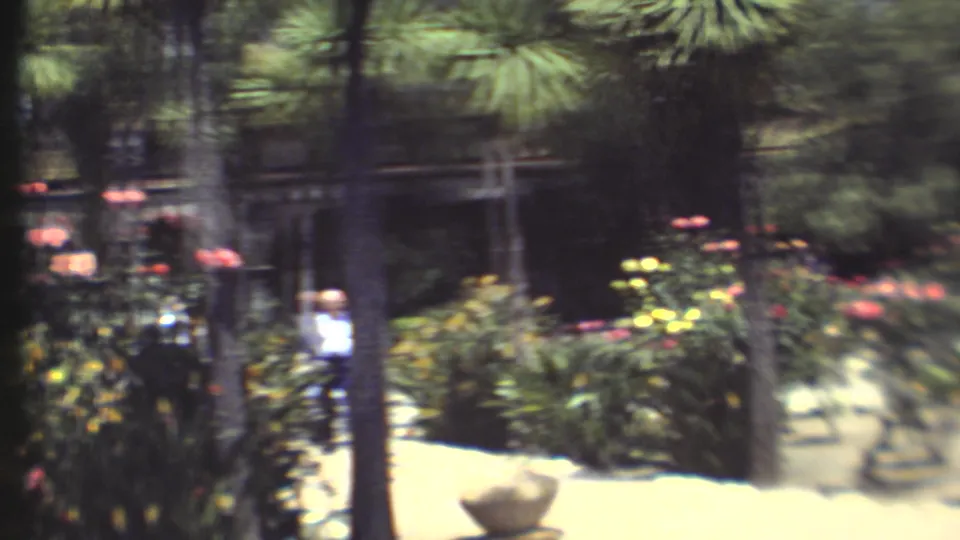 1972 8mm frame of a garden walkway bordered by flowers and palms, with a distant visitor partly visible.