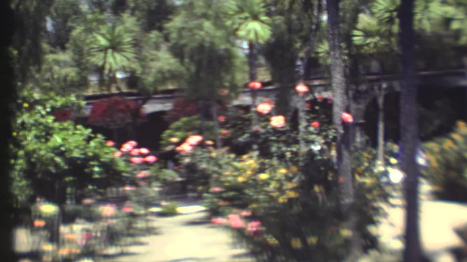 1972 Grand Canyon garden view with a winding path, pink flowers, palm-like trees, shrubs, and a reddish structure partly obscured by plants.