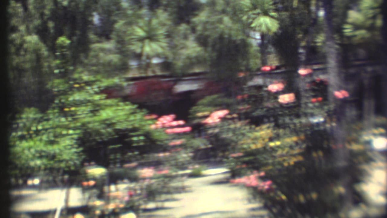 Blurred garden path with greenery, pink roses, trees, and sunlit walkway.