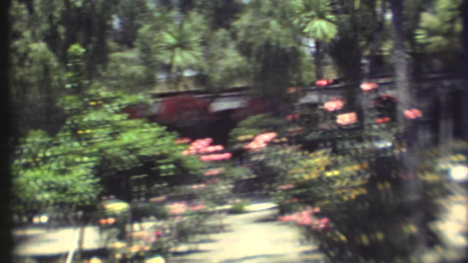 1972 Grand Canyon-area home movie frame showing a landscaped garden path with pink roses, trees, and soft handheld blur.