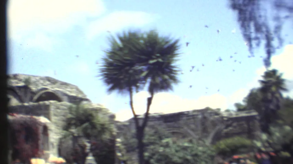 1972 Grand Canyon-area frame of a historic-looking stone structure, palm-like tree, bright sky, and birds crossing the scene.