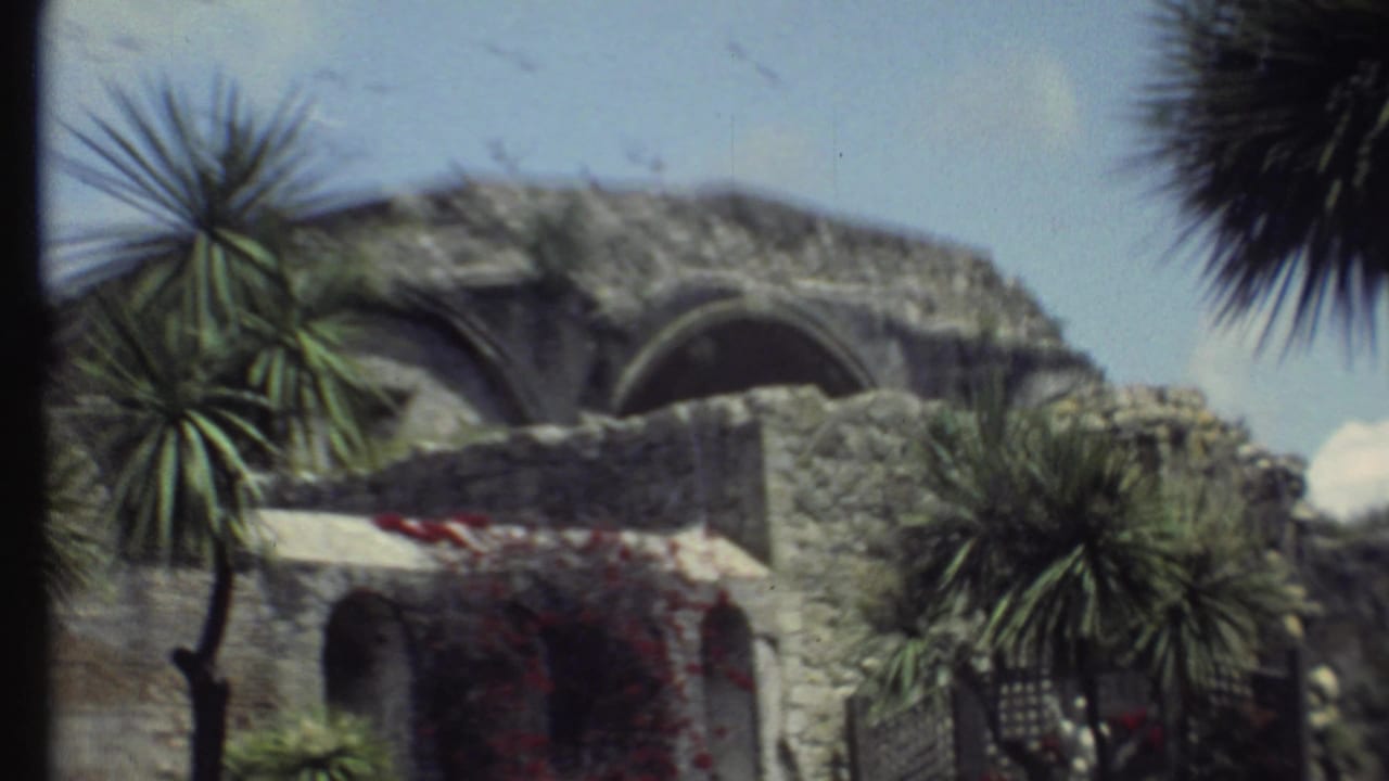 Weathered stone building with arched openings, palm-like trees, and red flowering vines.