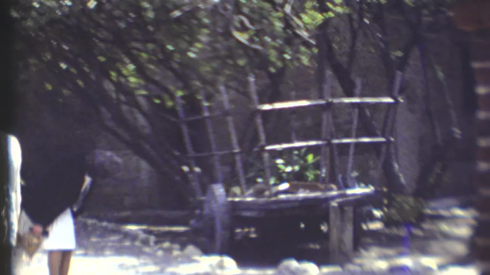 1972 Grand Canyon-area home-movie frame with benches, trees, stonework, and a partially visible visitor passing through.