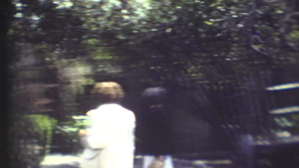 Visitors in 1972 Grand Canyon footage move away through a shaded outdoor enclosure area with dense foliage and wooden fencing.