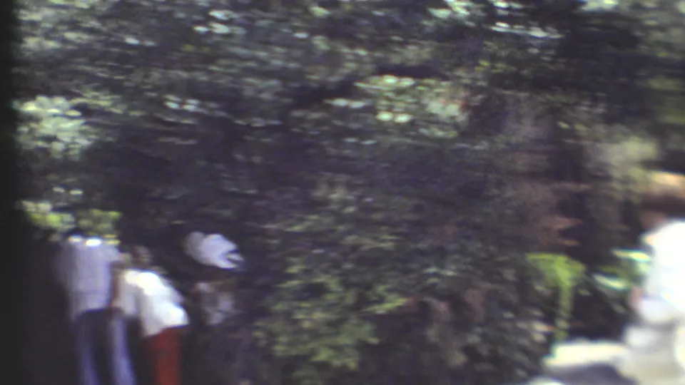 Several visitors appear among trees and shrubs in the supplied 1972 Grand Canyon home-movie scene, with one person bending near the foliage.