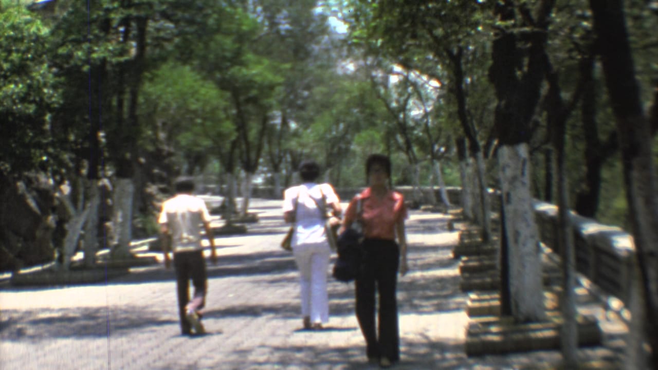 Three adults walk along a shaded paved park path lined with trees and low stone borders.