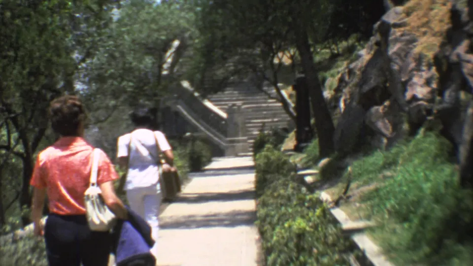 Two adults walk toward a stone stairway in a landscaped Mexico City park, with hedges, trees, and rocks framing the path.