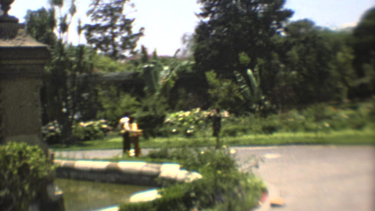 1973 Mexico City 8mm frame with a fountain edge, paved path, lush plantings, and a distant person standing or walking in the garden.