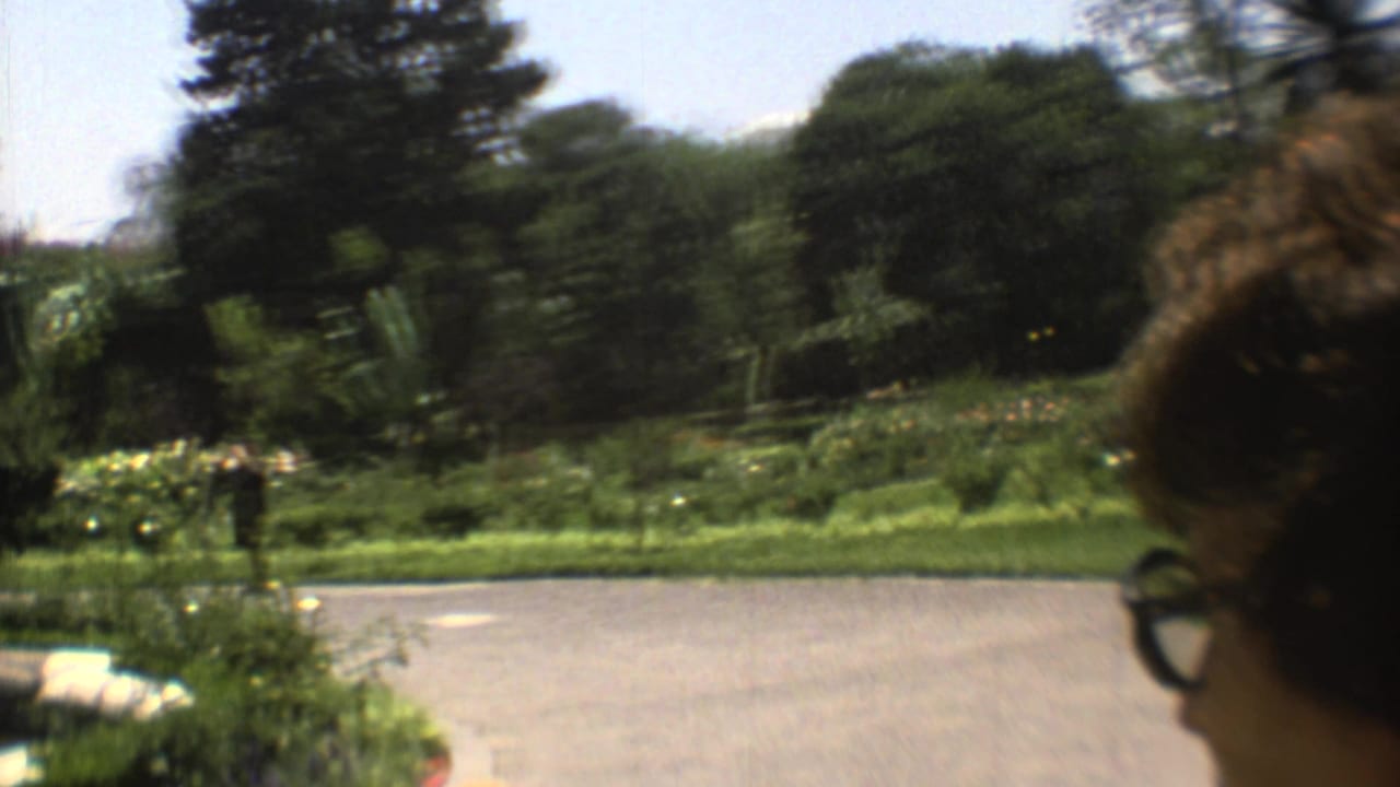 1973 Mexico City garden frame with paved path, shrubs, trees, tropical plants, and a partial foreground face with eyeglasses at the right edge.
