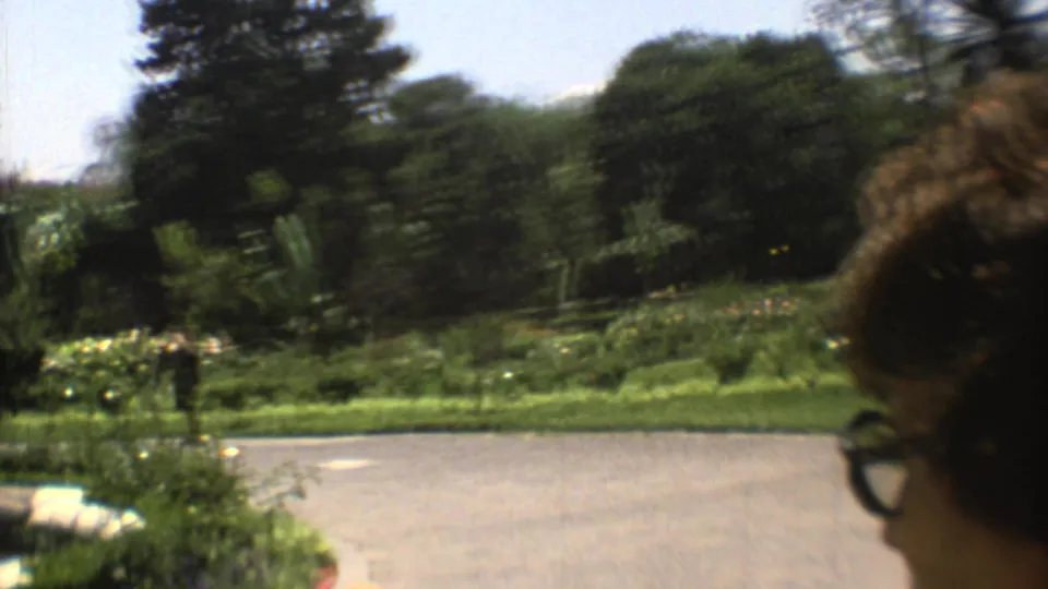 1973 Mexico City garden frame with paved path, shrubs, trees, tropical plants, and a partial foreground face with eyeglasses at the right edge.