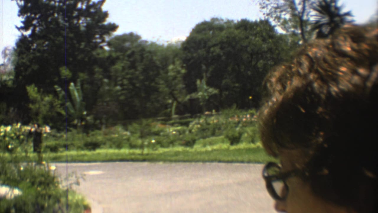 Woman's head in foreground as a man stands near a garden statue in a sunny park.
