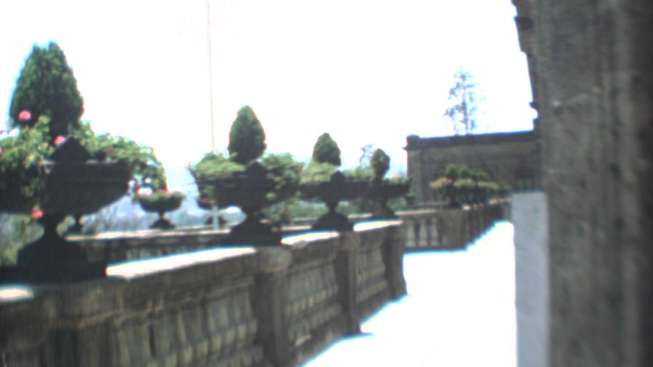 1973 Mexico City terrace view with stone balustrades, clipped topiary, planters, flowers, and strong daylight beyond the palace wall.