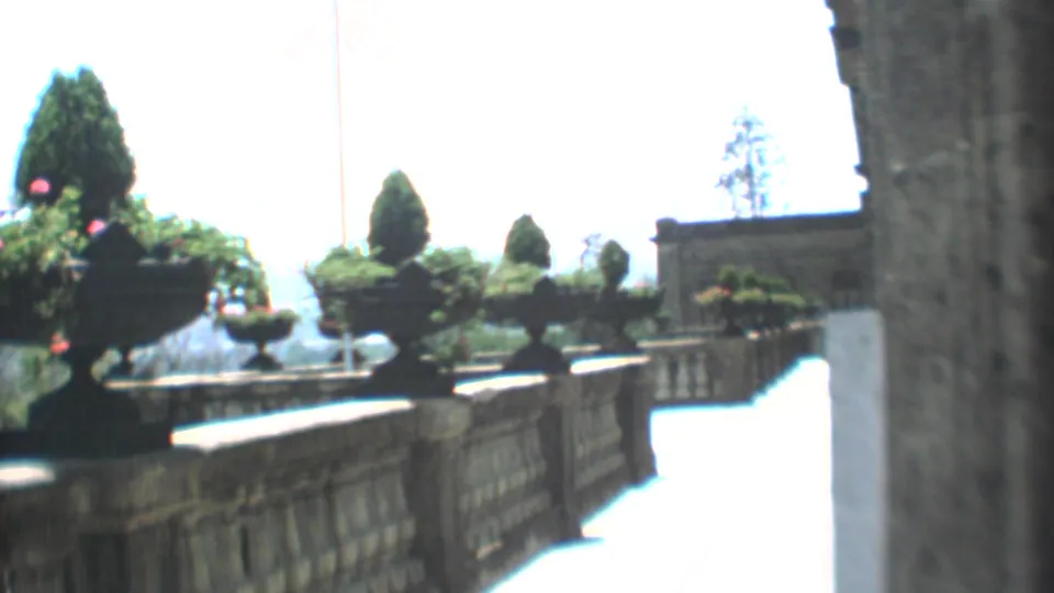 1973 Mexico City terrace view with stone balustrades, clipped topiary, planters, flowers, and strong daylight beyond the palace wall.