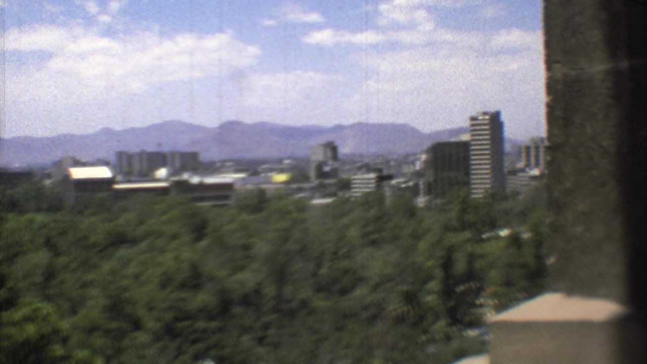 1973 home-movie frame of Mexico City from an elevated position, showing a broad tree canopy, skyline structures, haze, and mountains.