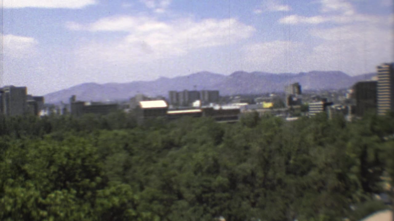 Elevated Mexico City view from 1973, with foreground trees, scattered skyline buildings, distant mountains, and a dark pillar at the edge.