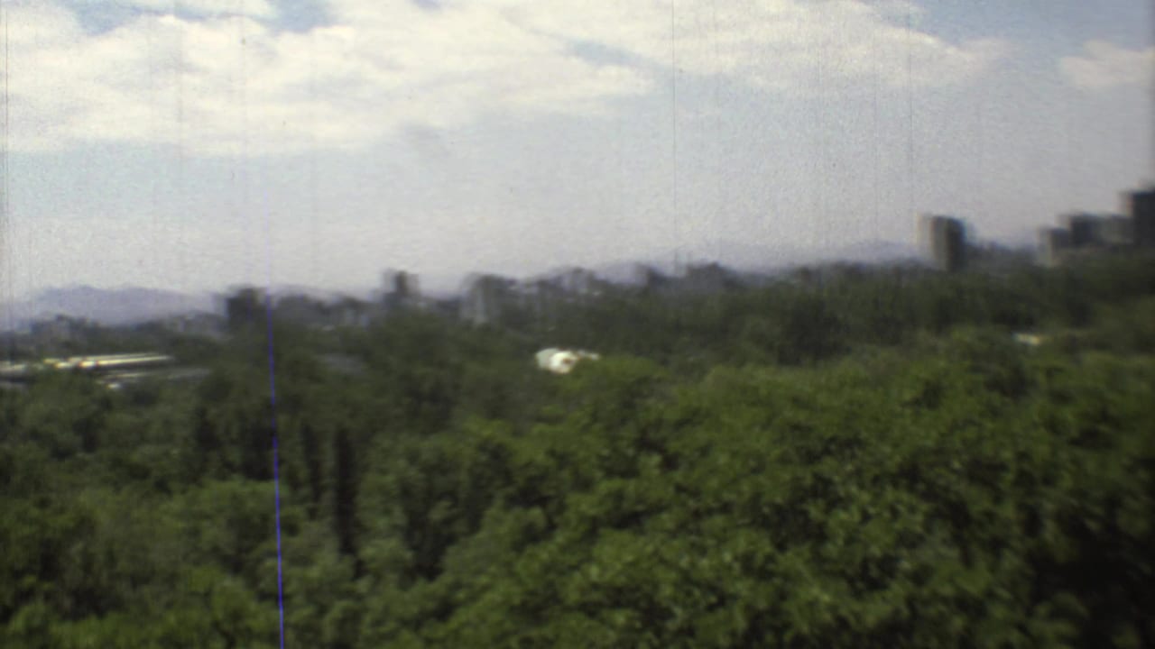 Distant city skyline beyond dense green trees with mountains under a cloudy sky.