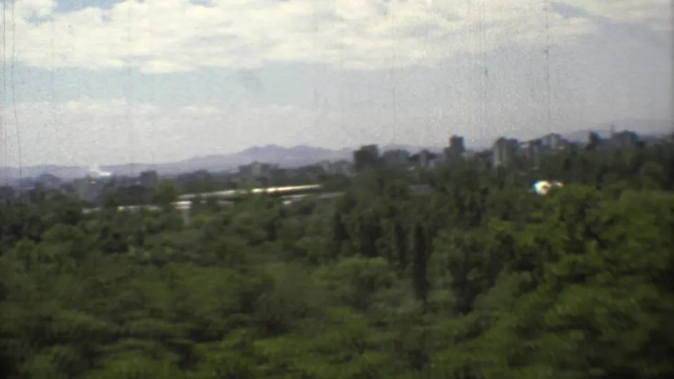 Mexico City appears beyond a broad green canopy, with distant buildings and mountain ridges softened by 8mm haze.
