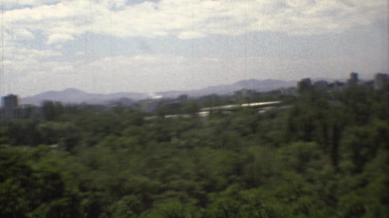 A soft 1973 home-movie frame shows Mexico City towers and mountains rising beyond a large wooded foreground.