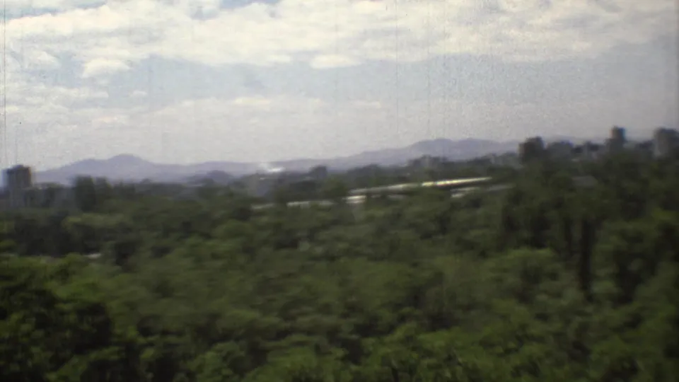 A soft 1973 home-movie frame shows Mexico City towers and mountains rising beyond a large wooded foreground.
