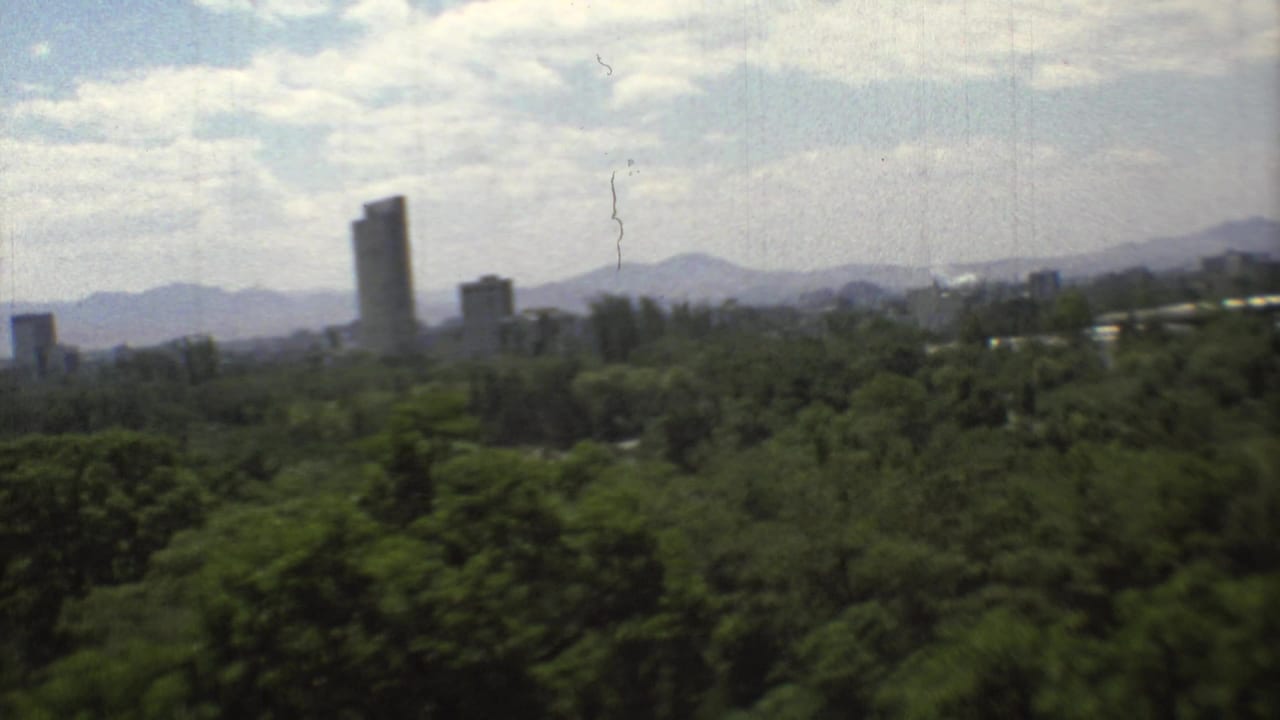 Tree canopy with distant high-rise buildings and mountains under a cloudy sky.