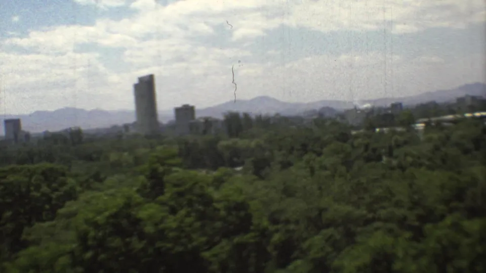 1973 Mexico City skyline seen beyond dense green trees, with mountains on the horizon and soft 8mm film grain.