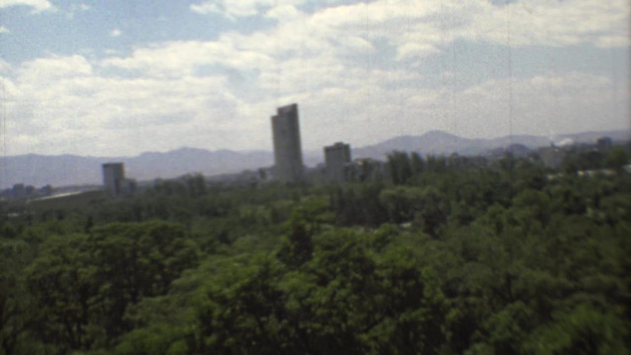 Distant high-rises and mountains beyond a wide area of trees.