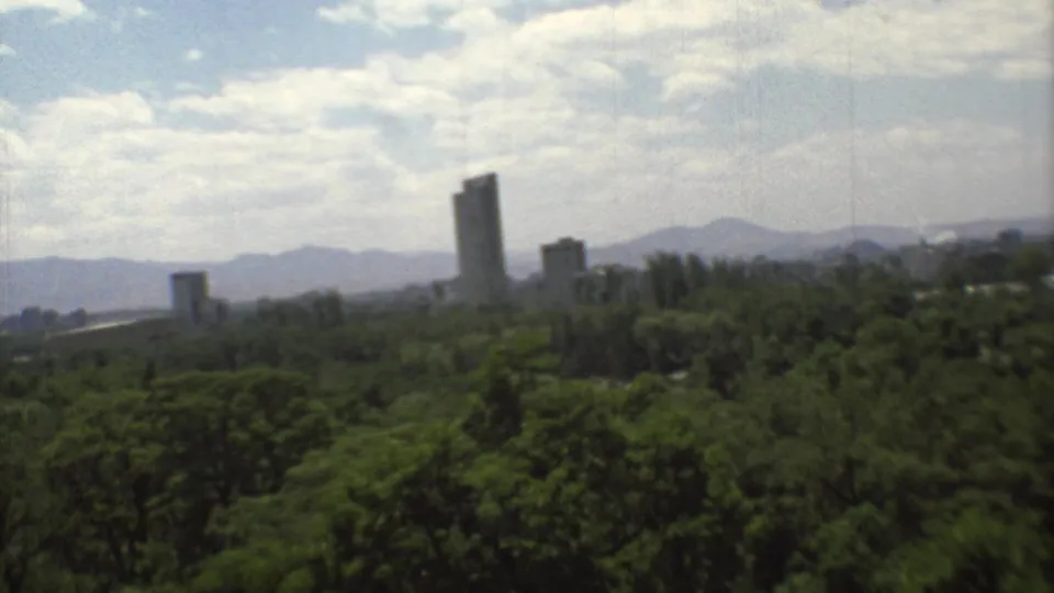 A soft 8mm view across Mexico City trees toward modern high-rises and a mountainous horizon in 1973.